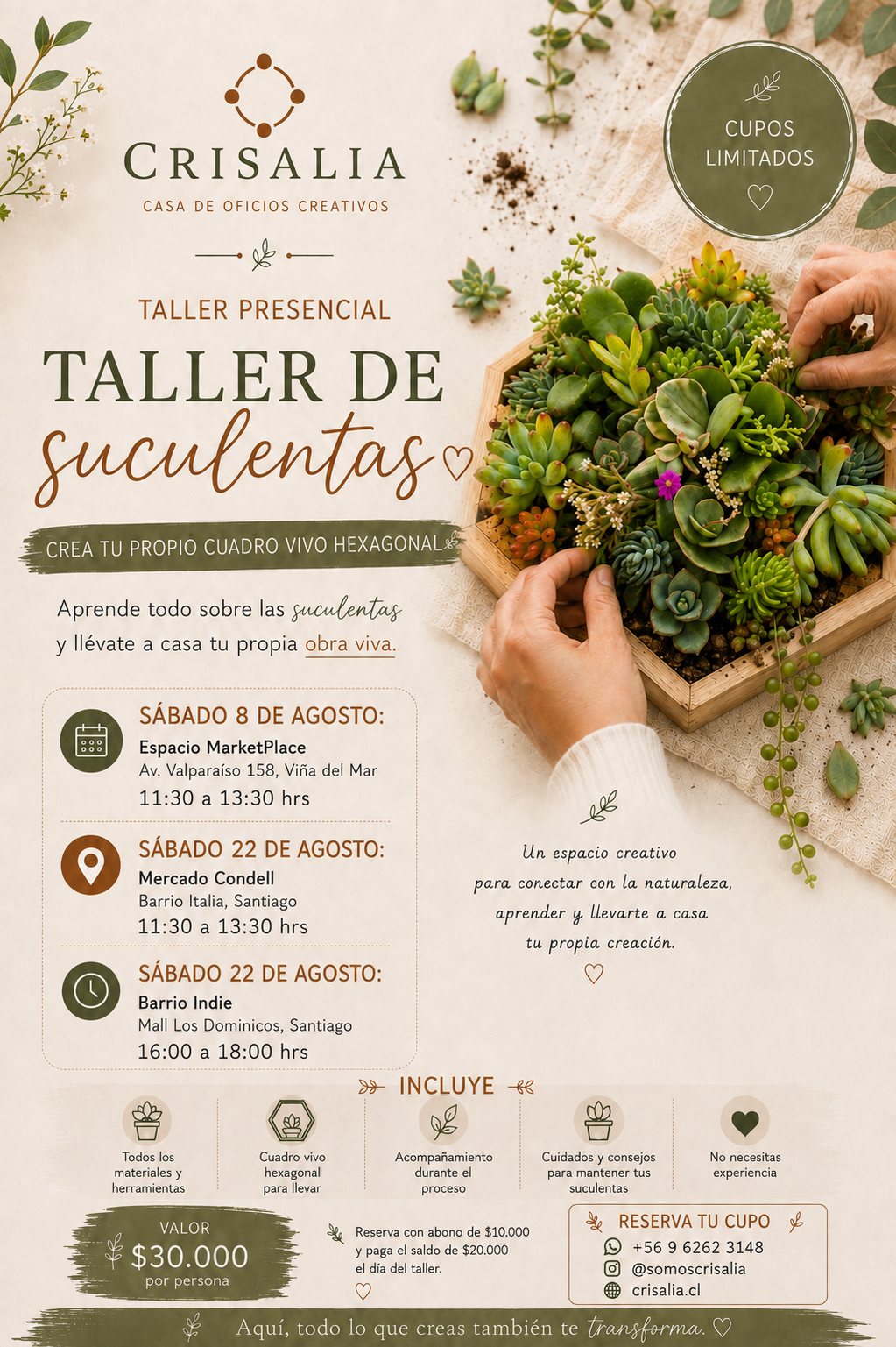 Afiche del taller de suculentas — sábados 8 y 22 de agosto de 2026, en Viña del Mar y Santiago